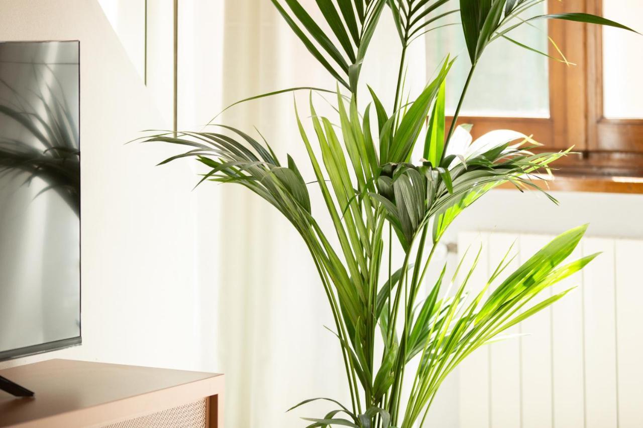 Appartement La Corticella Luxury Suite, With Terrace Lucques